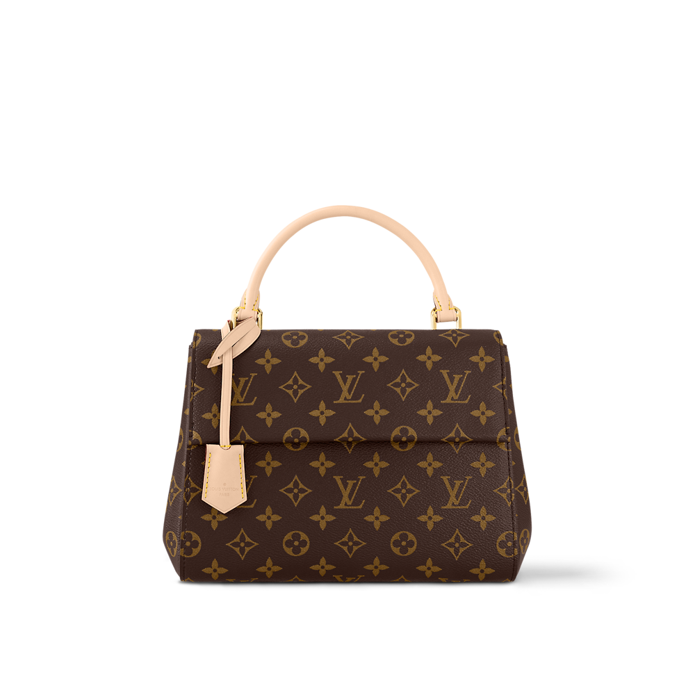 Louis Vuitton CLUNY BB Bag M46372