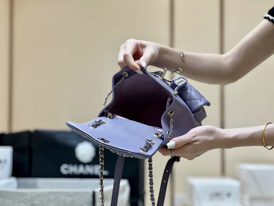 Chanel 24A duma double backpack 3860