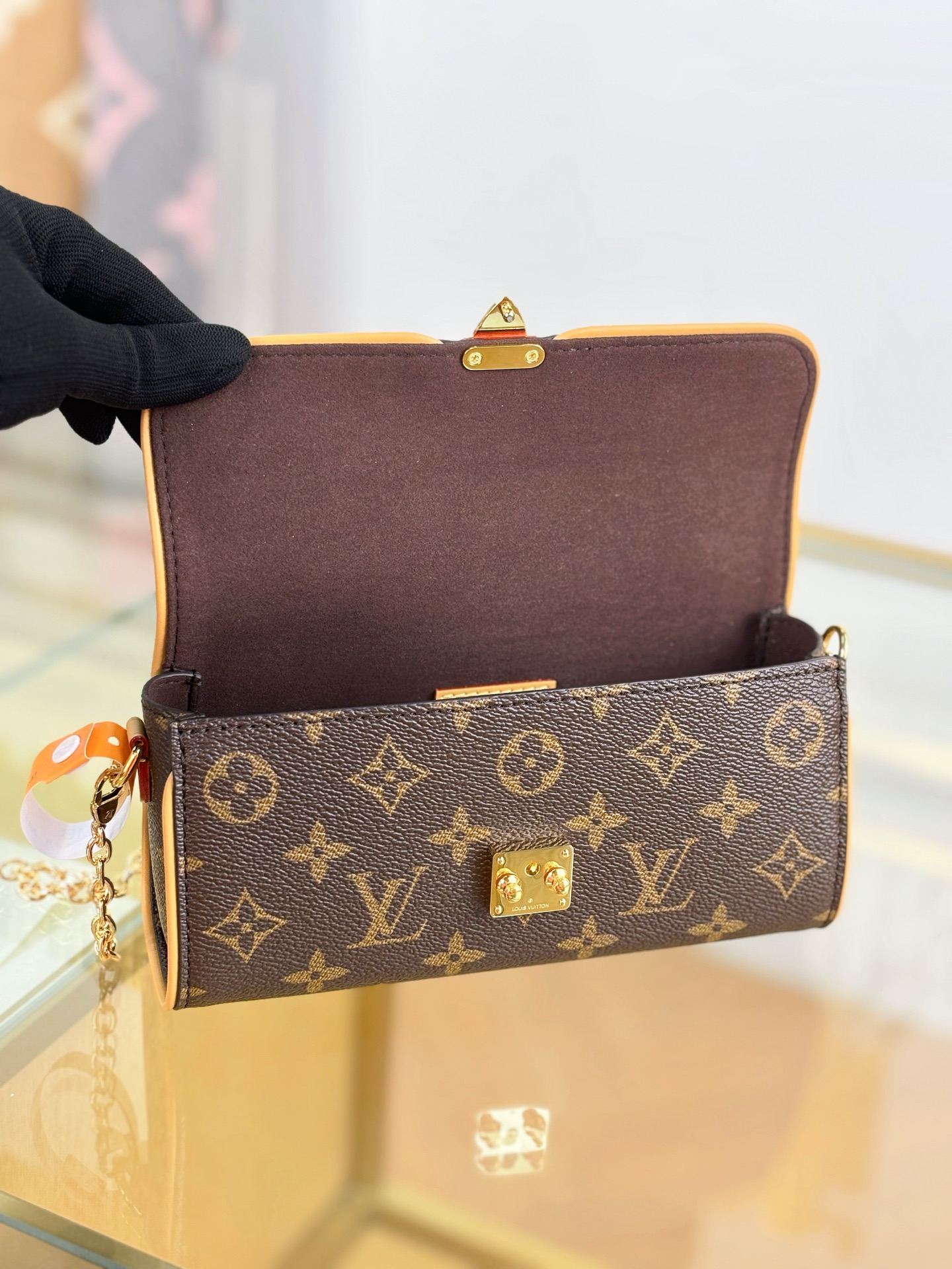 Louis Vuitton POCHETTE CAMILLE Handbag M13566