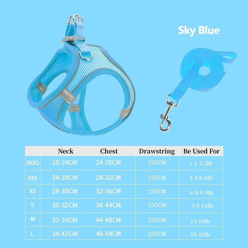 Cat Harness & Leash
