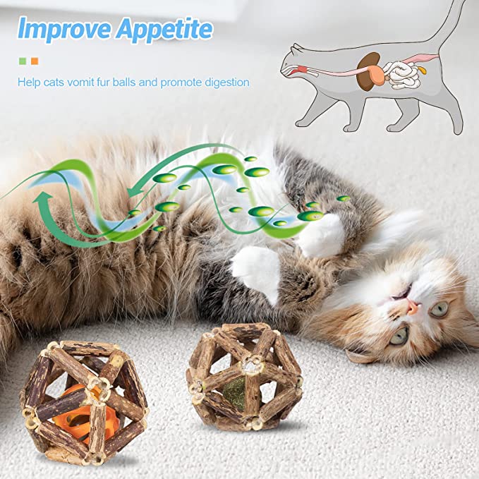 (🔥Last Day 60% OFF)😺-Natural Silvervine Catnip Toys-BUY 5 GET 3 FREE & FREE SHIPPING