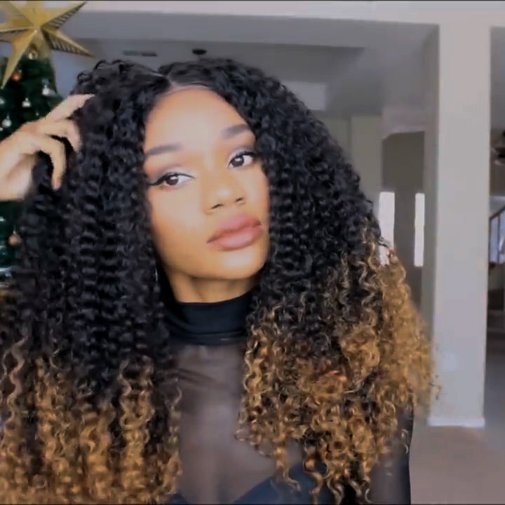 Natural Wig, Best Wig Ever Type Hair