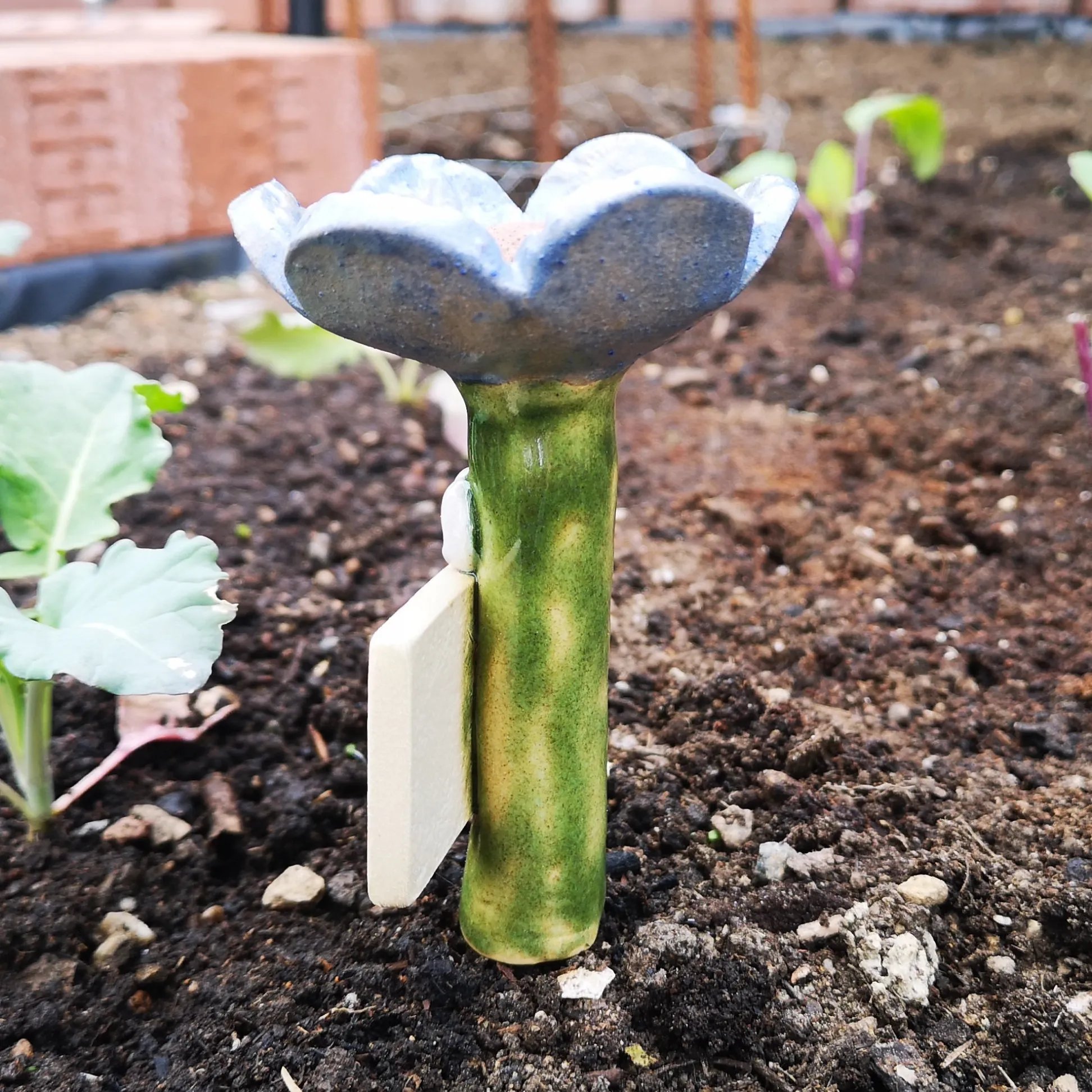 🐝Handmade Insect Drinkers – Fascinating Drinkers for Wild Bees and Insects💐