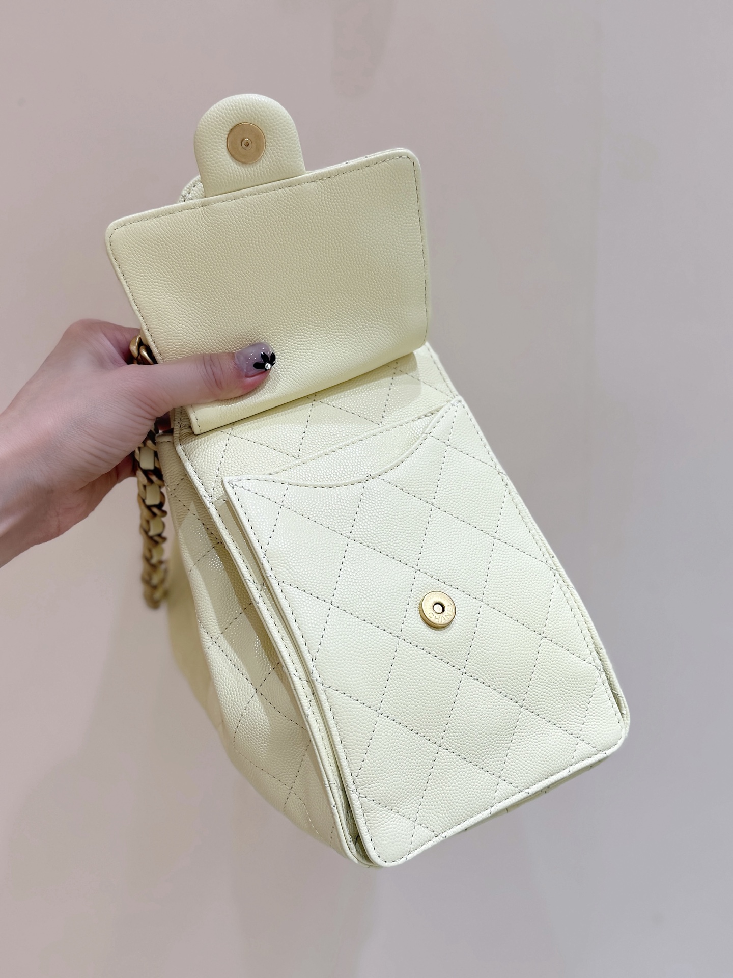 Chanel 25S Spring/Summer Collection Handbag AS5293 00158