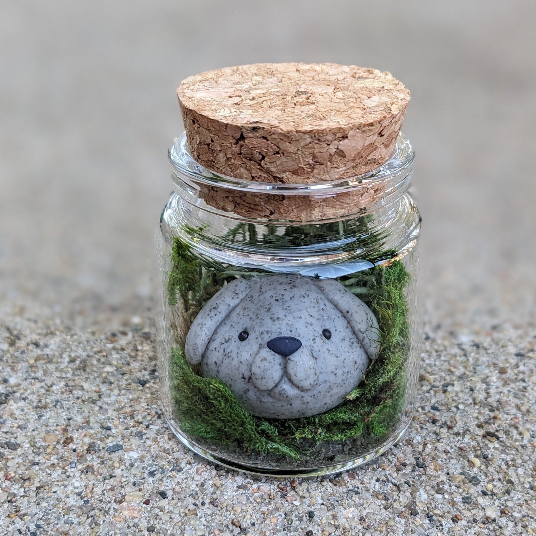 On Sale🔥Adopt A Rock Pet