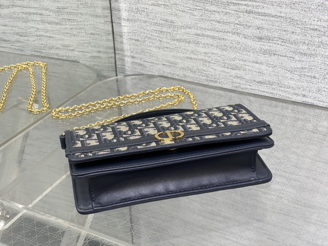 Dior 30 Montaigne Cigale Chain Bag