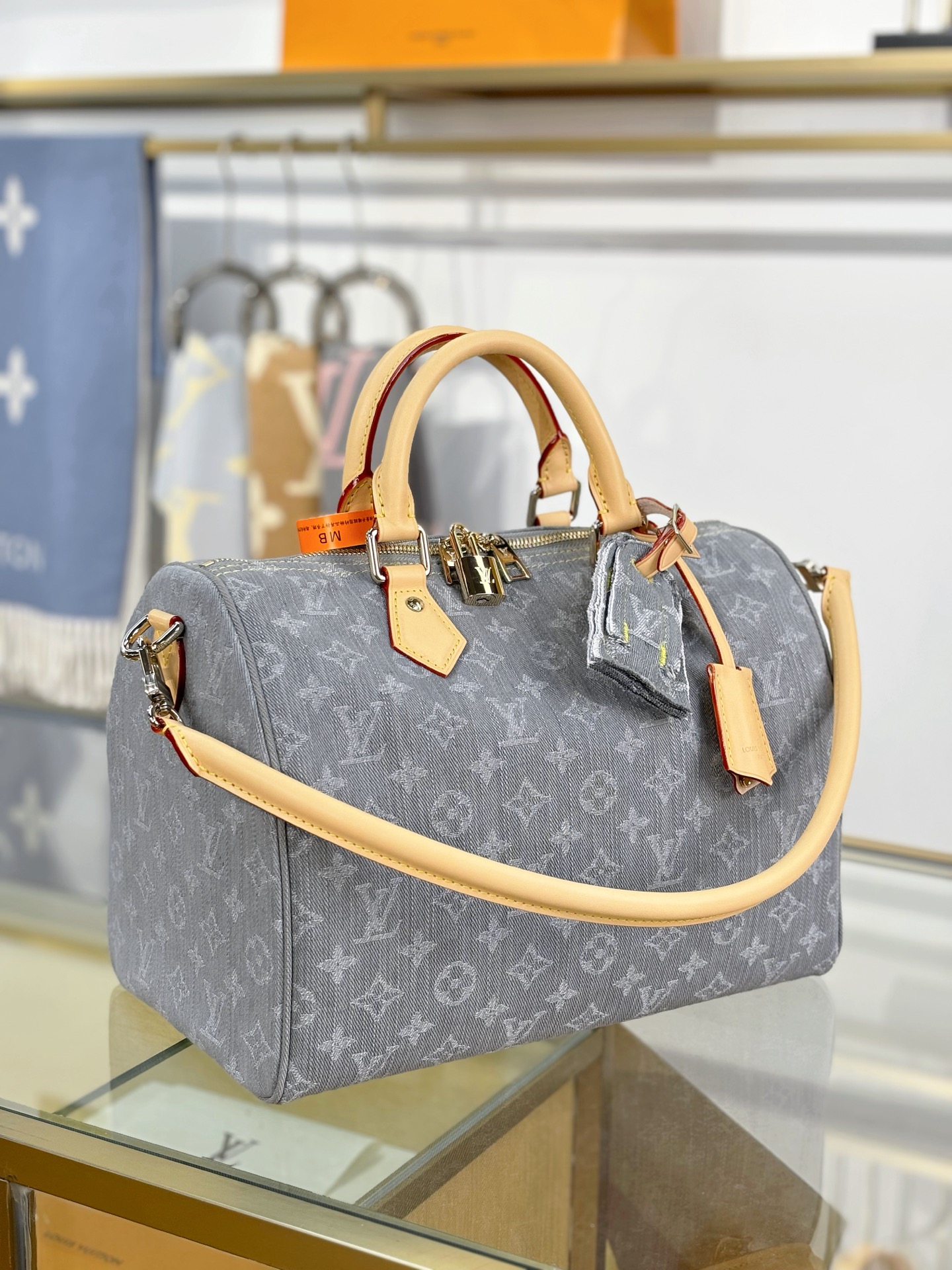 Louis Vuitton SPEEDY SOFT 30 Bag M13344