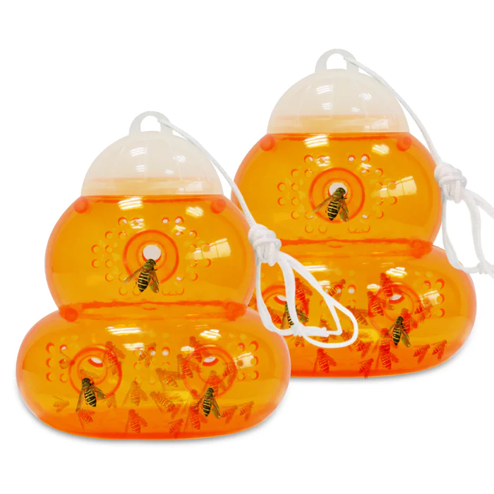 EFFECTIVE WASP TRAPS