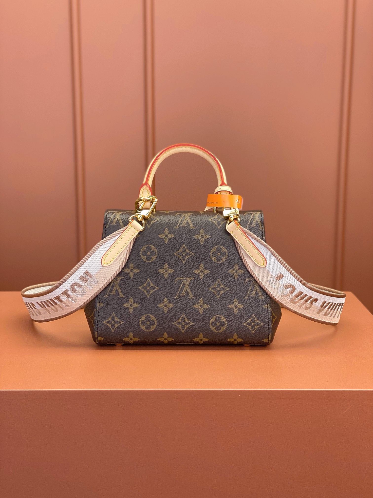Louis Vuitton CLUNY Mini Bag M46055