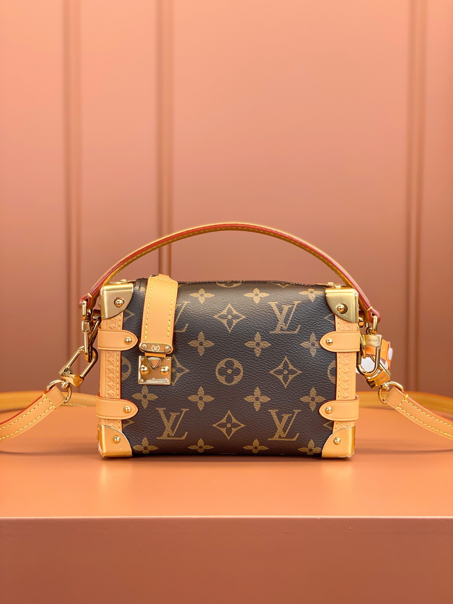 Louis Vuitton SIDE TRUNK MiNi Bag M46815