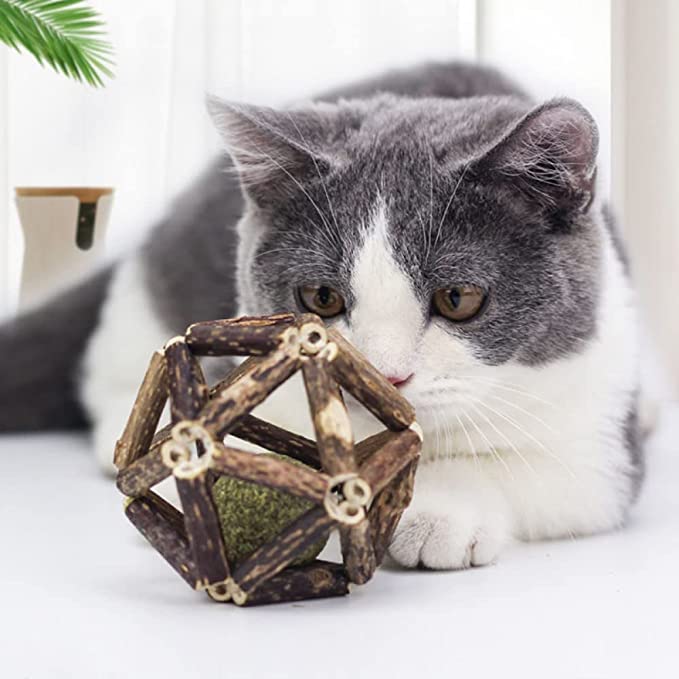 (🔥Last Day 60% OFF)😺-Natural Silvervine Catnip Toys-BUY 5 GET 3 FREE & FREE SHIPPING