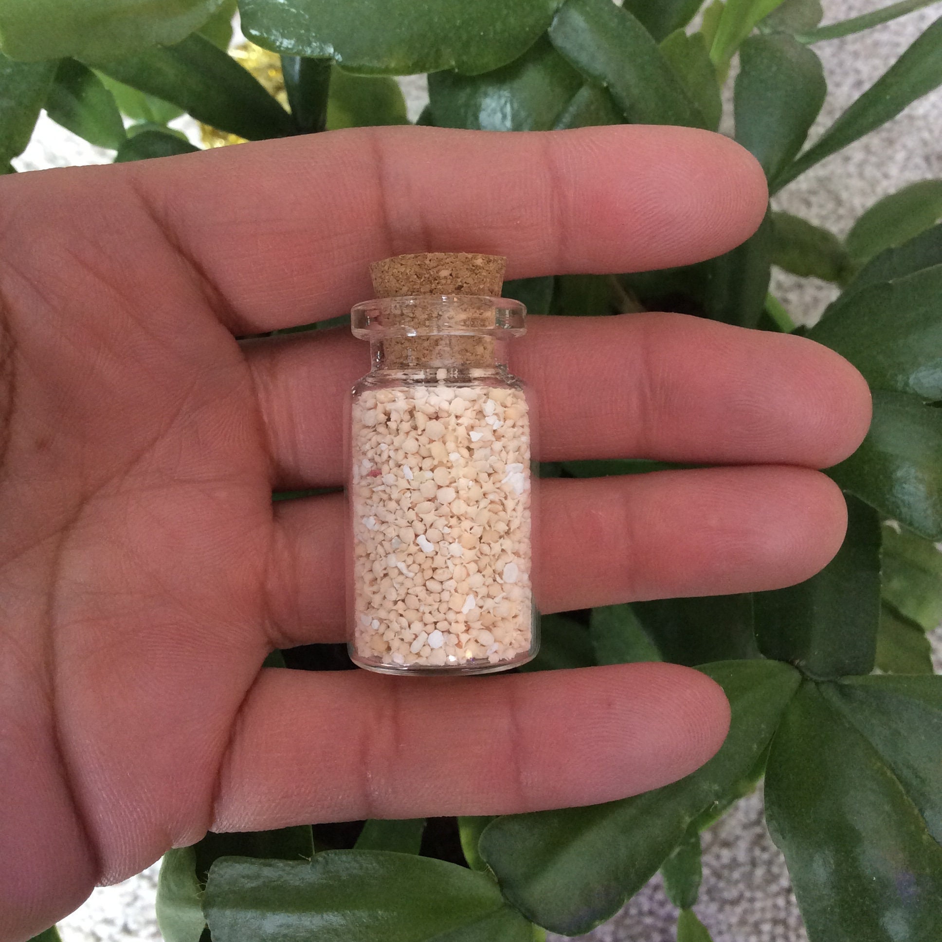 Star Sand | Unique Gifts