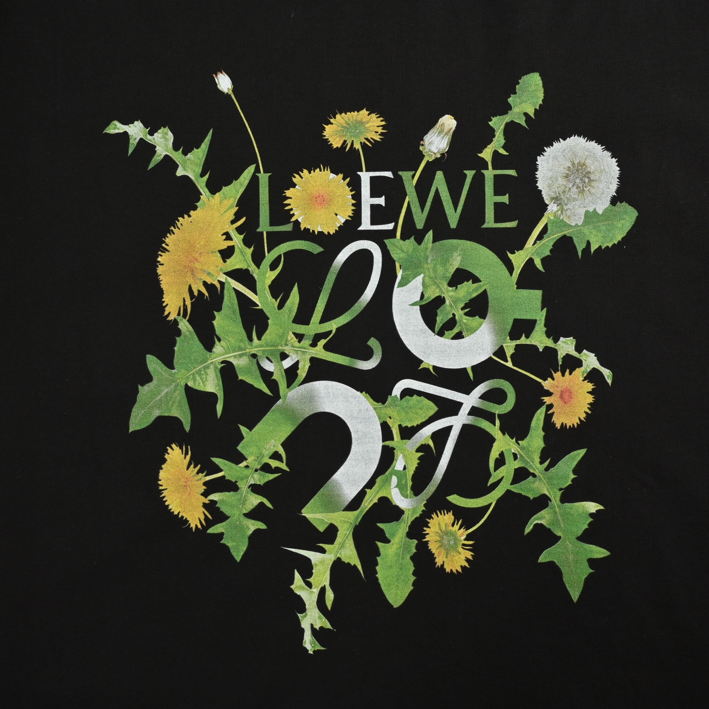 Loewe 25ss Angpao collaboration floral print short-sleeve