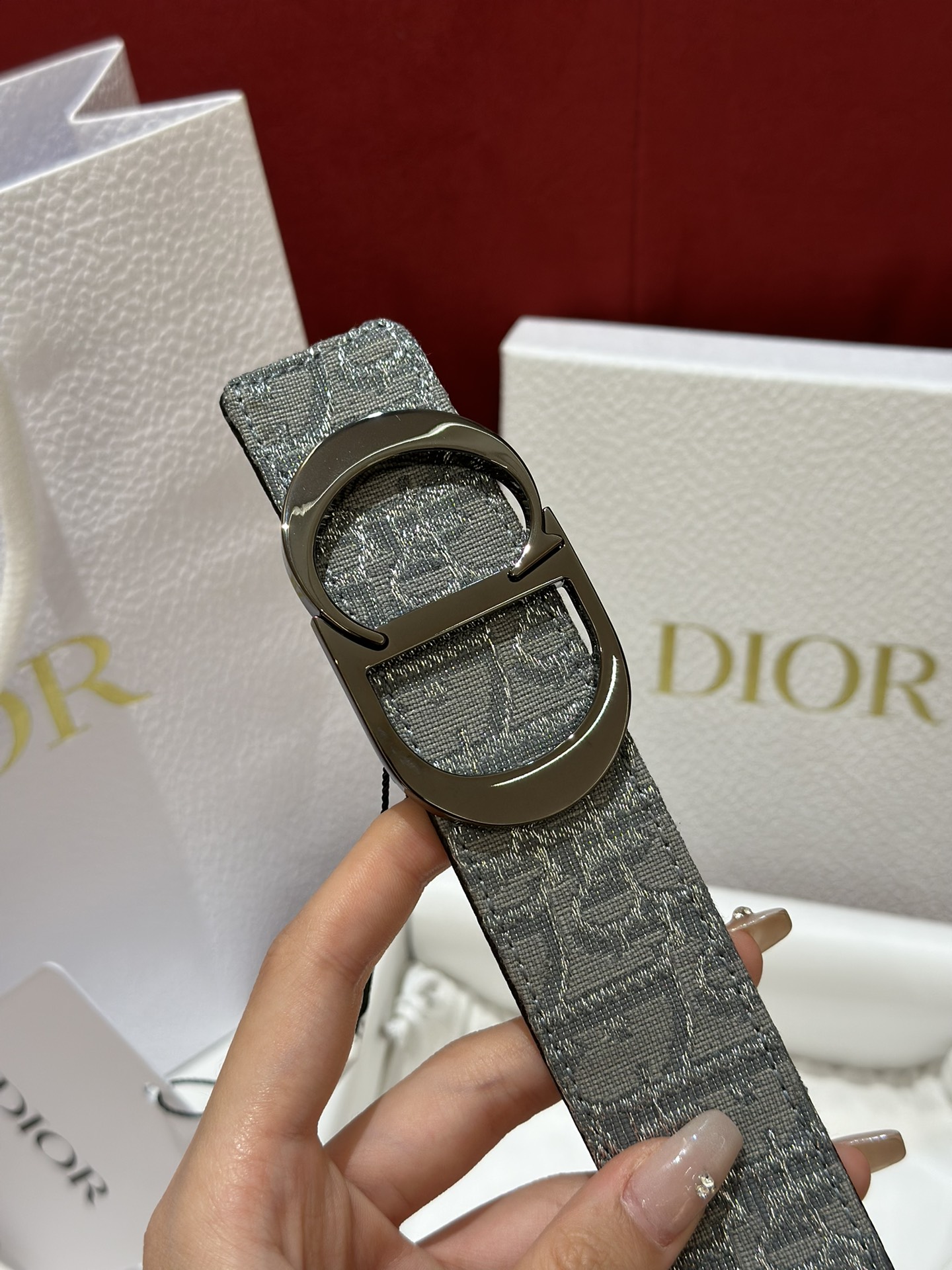 Dior CD Buckle Canvas Leather Belt 3.5CM Width