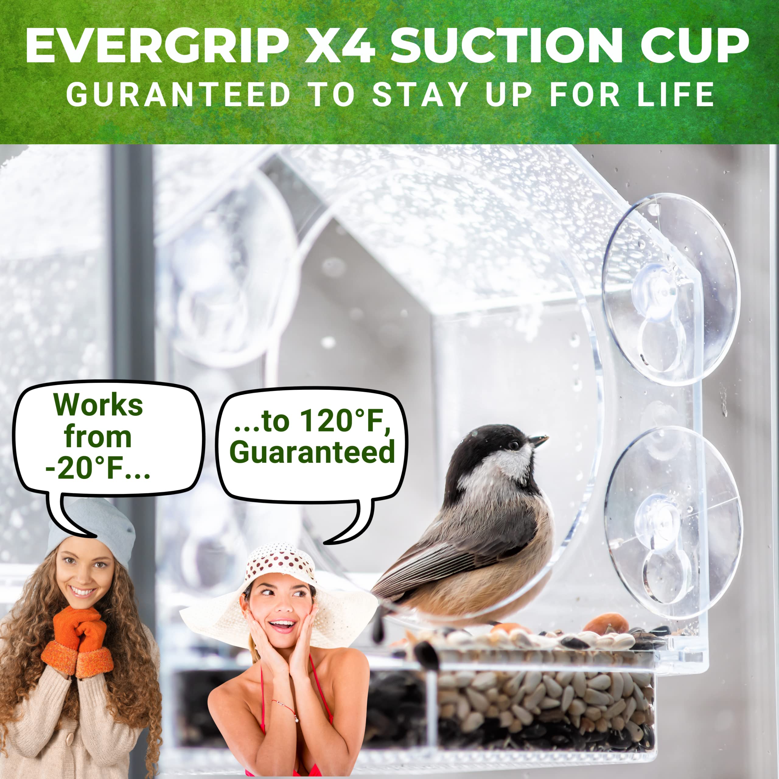 2024 New Year Promotion--Window Bird Feeders with Strong Suction Cups