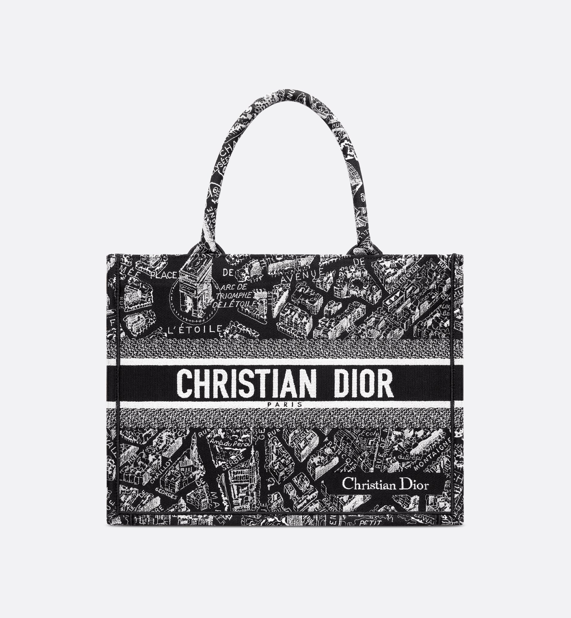 Dior Medium Book Tote Bag M1296ZOMP_M46I