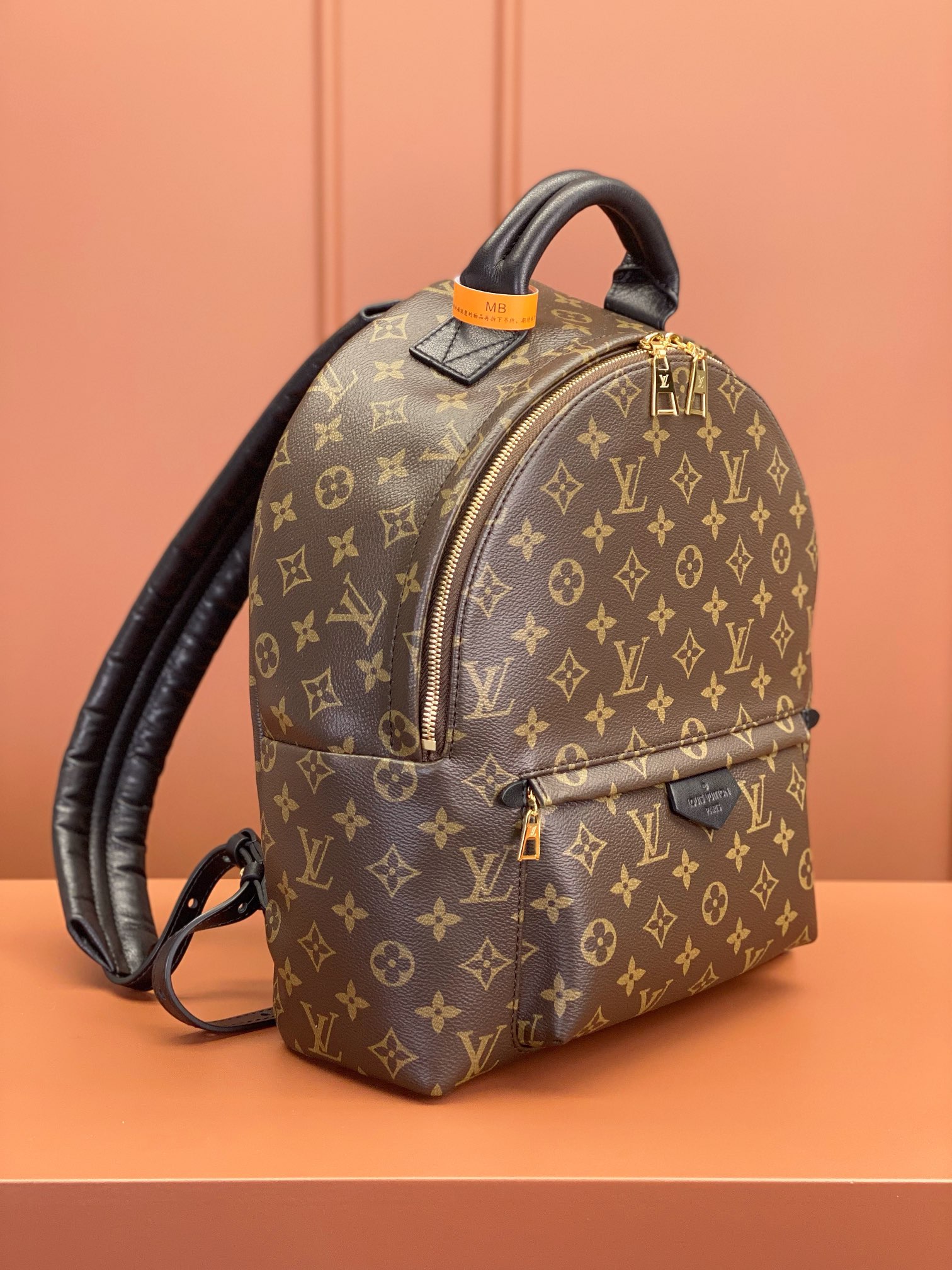 Louis Vuitton PALM SPRINGS Medium Backpack M44874