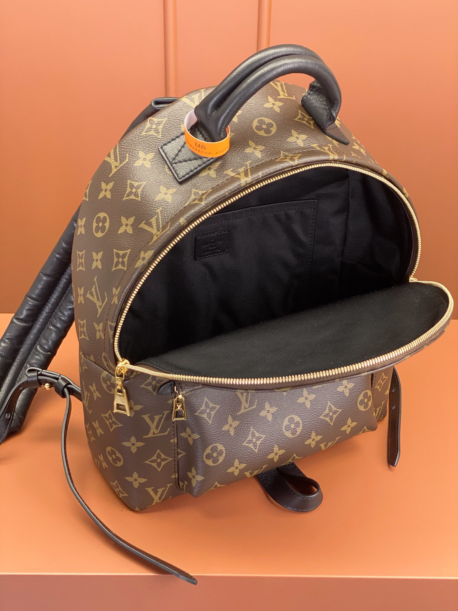 Louis Vuitton PALM SPRINGS Medium Backpack M44874