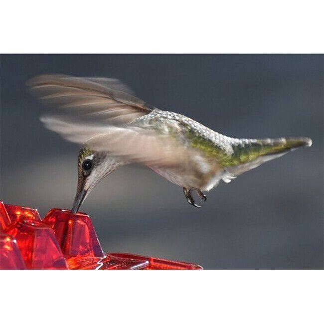 👍Last Day Promotion 50% OFF💥Mary's Hummingbird Feeder With Perch And Built-in Ant Moat-BUY 2 FREE SHIPPING