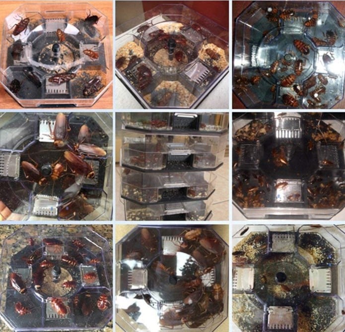 Reusable Cockroach Catcher Trap