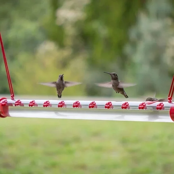 🔥Early Spring Promotion 50% OFF-Hummingbird Feeder with perch