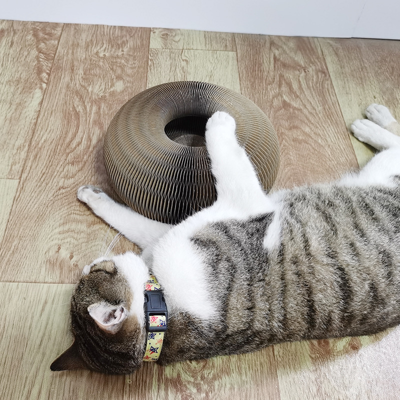 💥Last Day Promotion-[SAVE 50% OFF]--Magic Organ Cat Scratching Board--Comes with a toy bell ball--BUY 2 GET 10% OFF & FREE SHIPPING