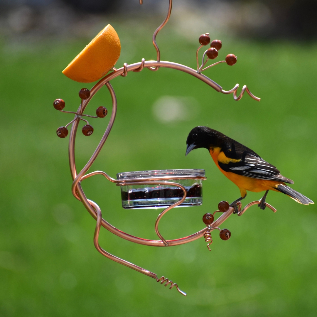 HOT SALE🔥Coppervine Red Berry Hummingbird Feeder