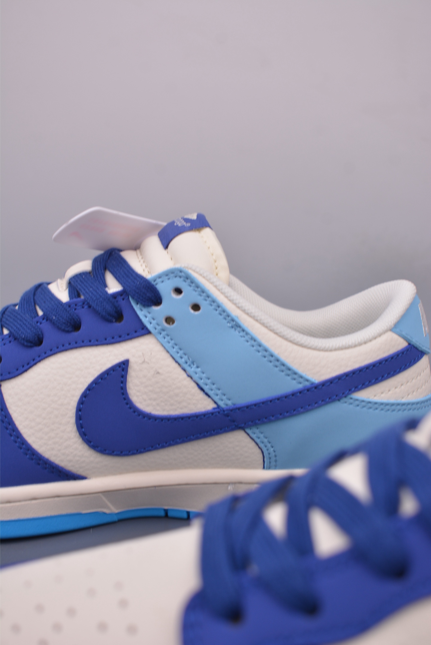 Balenciaga x Nike SB Dunk Low 
