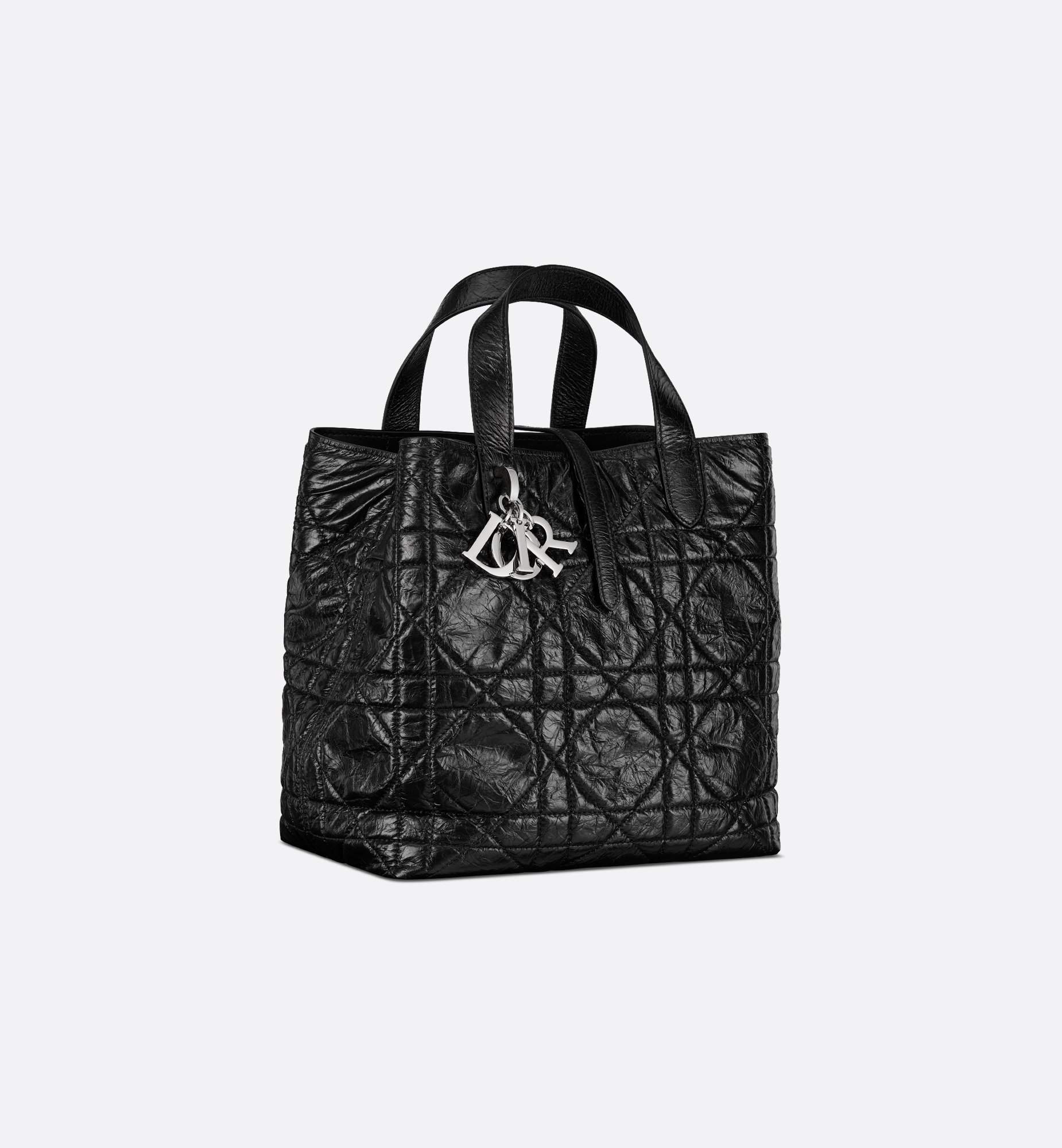 Dior Medium Dior Toujours Vertical Handbag M2836PNUC_M900