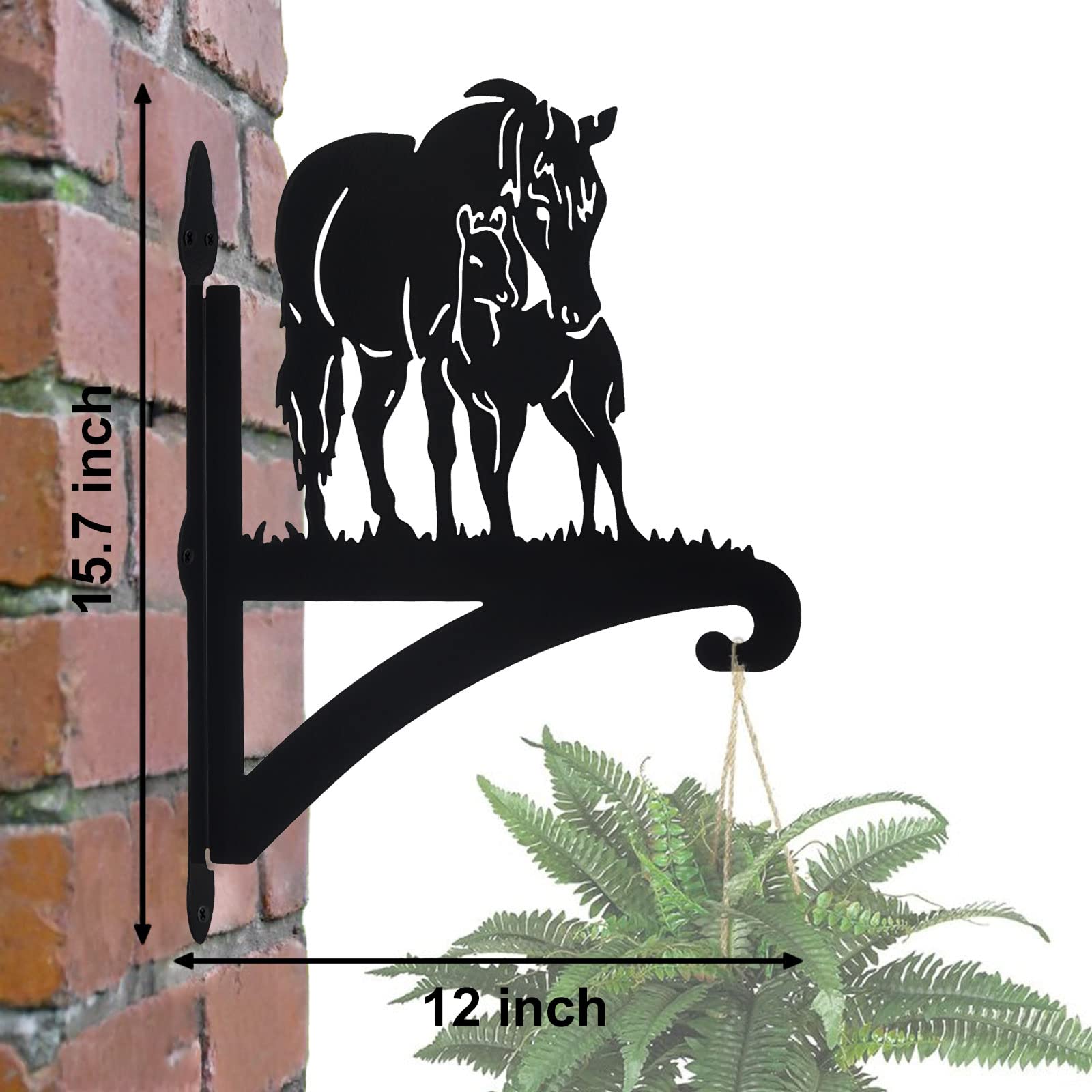 💥Last Day Promotion-[SAVE 50% OFF]--Hanging Plant Bracket Iron Heavy Duty Ornamental--BUY 2 GET FREE SHIPPING