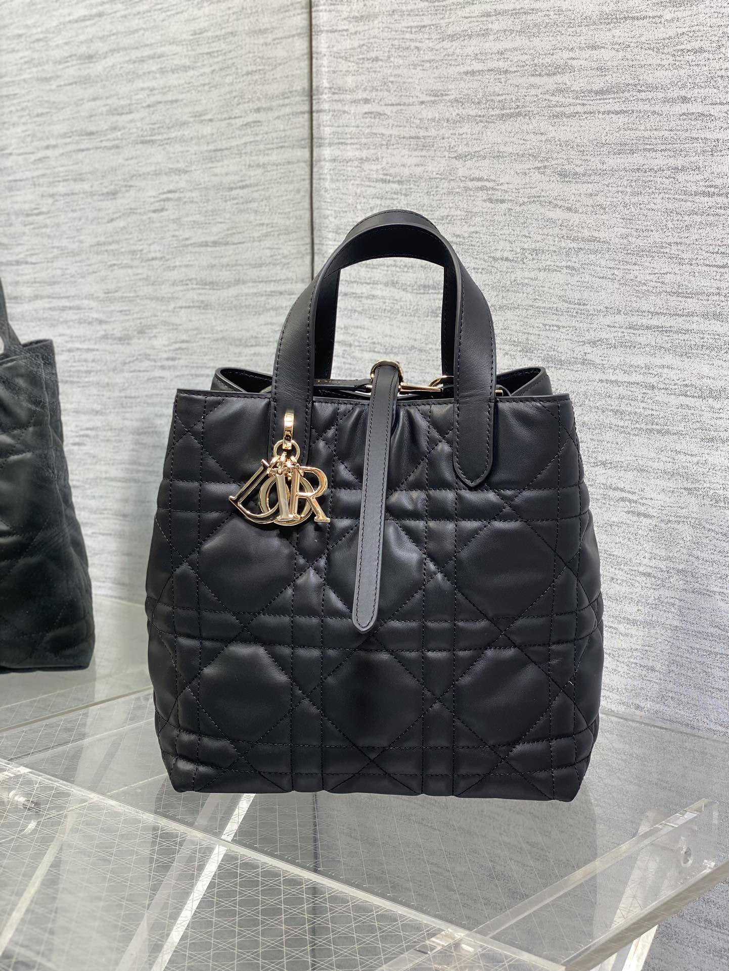 Dior Toujours Vertical Series Medium