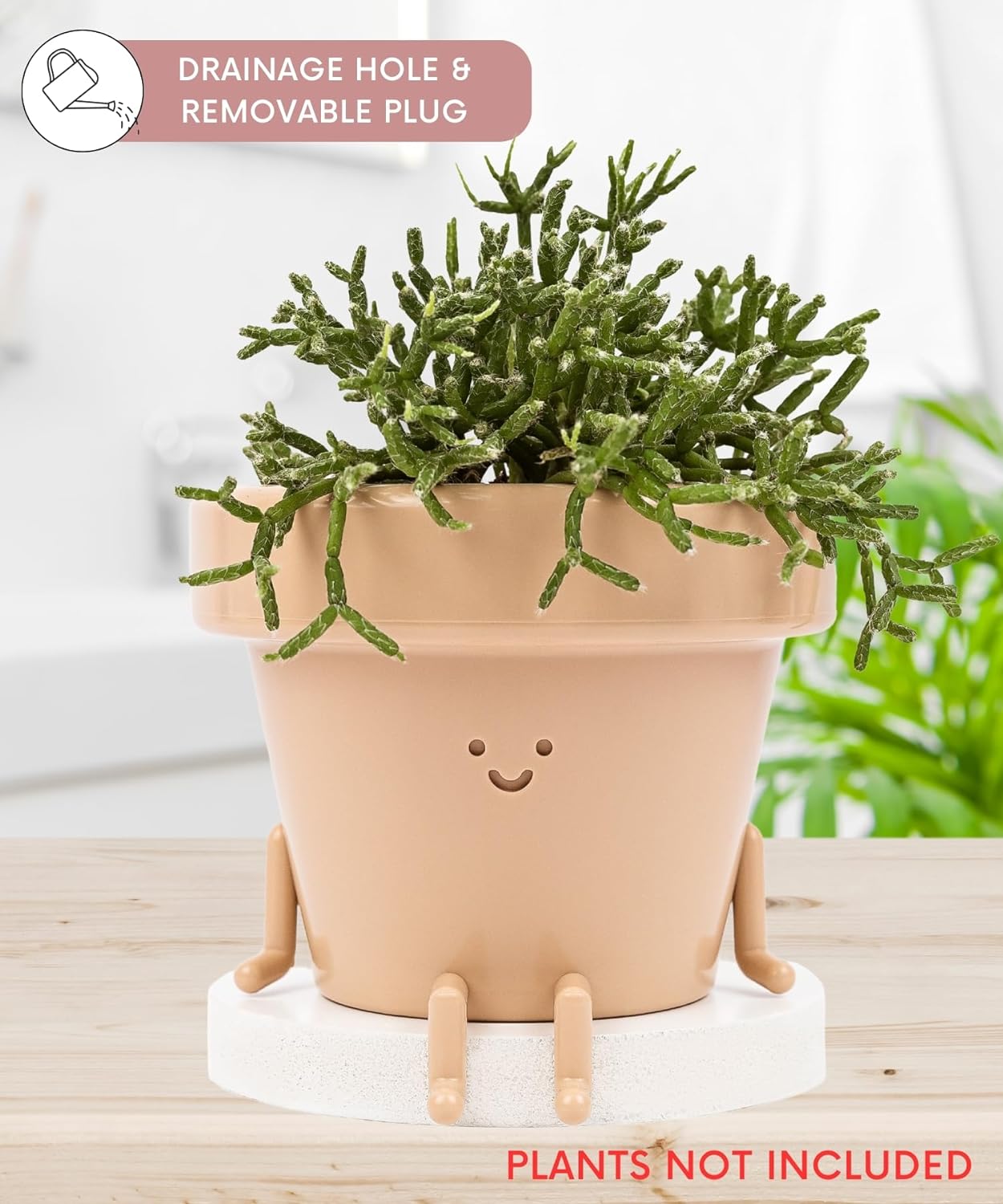 🔥HOT SALE🔥Happiest Little Indoor Planters On Earth