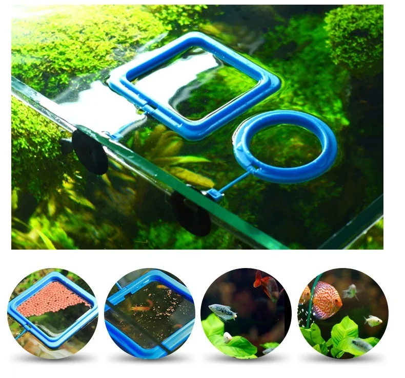 Fish Tank Ring Feeder Feeding Station