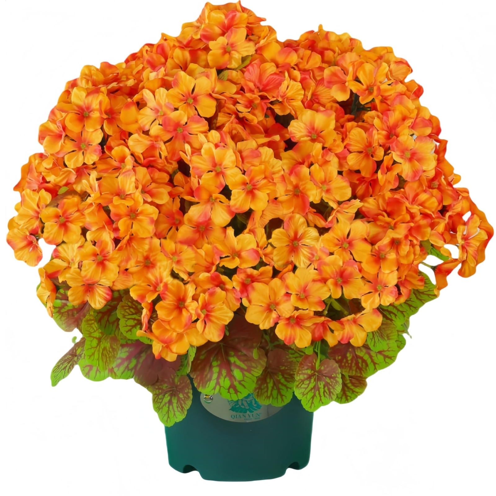 🔥Super Sale - 49% OFF🔥21