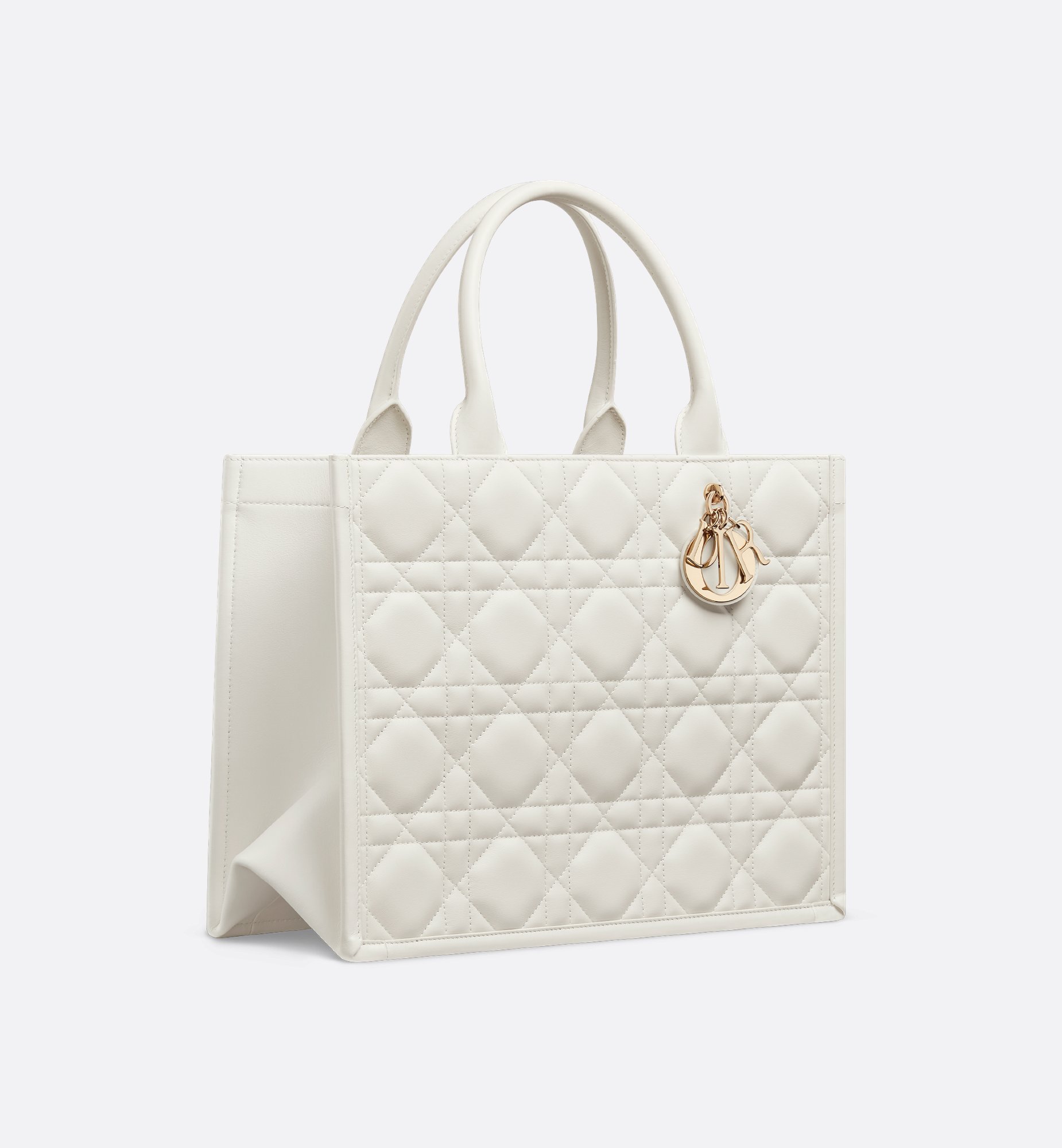 Dior Medium Book Tote Bag M1324OWHP_M030