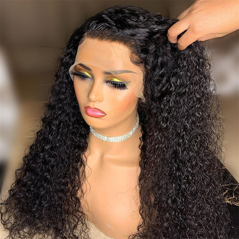 Luna wigs 1 x4 Lace Front 20-26 Inch Long Curly Wigs
