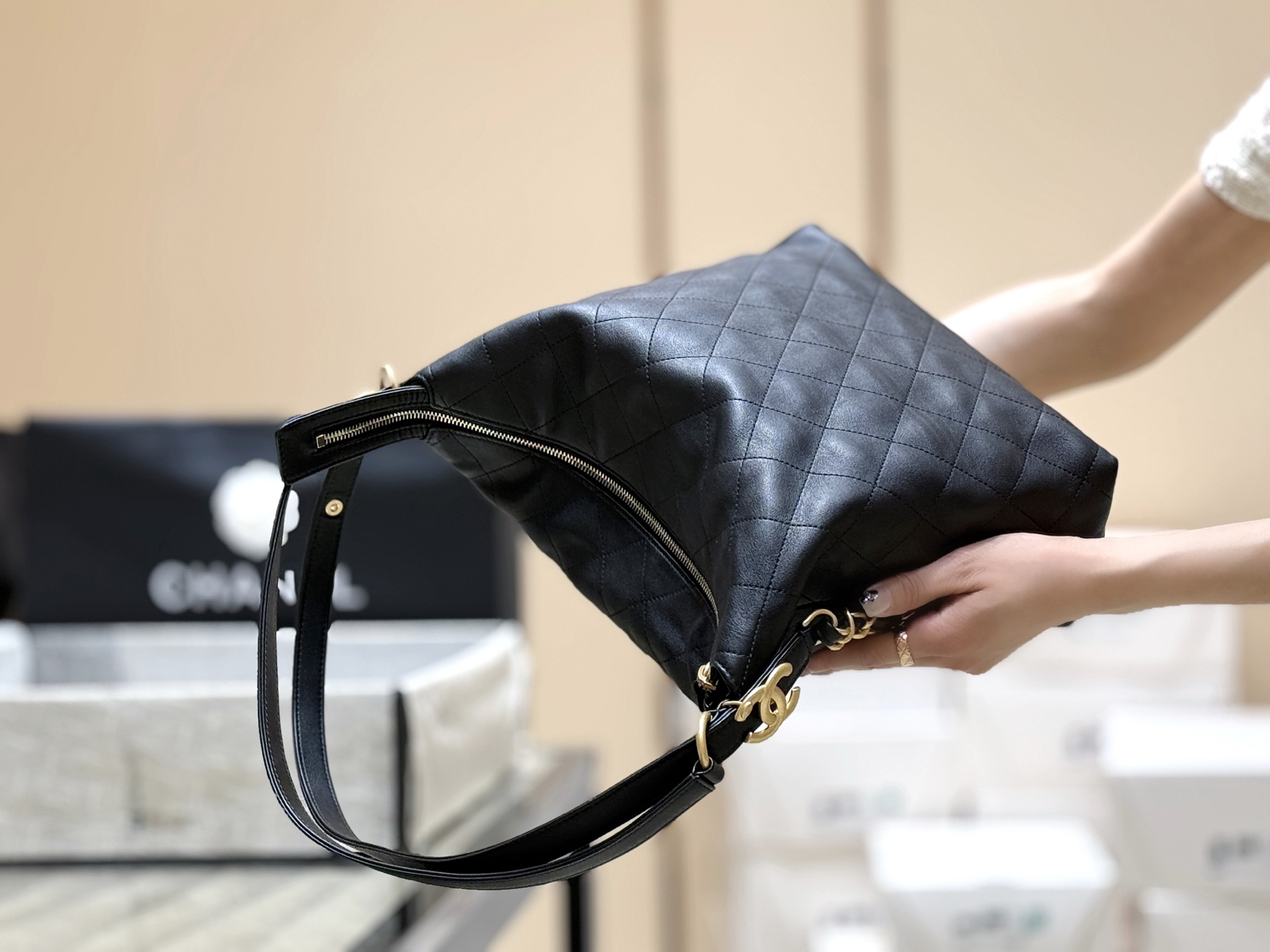 Chanel 25S Spring/Summer Collection Hobo Bag AS5517 00148