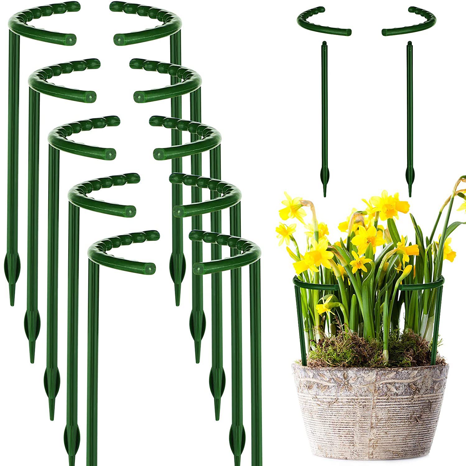 (🔥3rd Anniversary Sale) Plant Support Stake - Buy 3 Sets Get 2 Sets Free