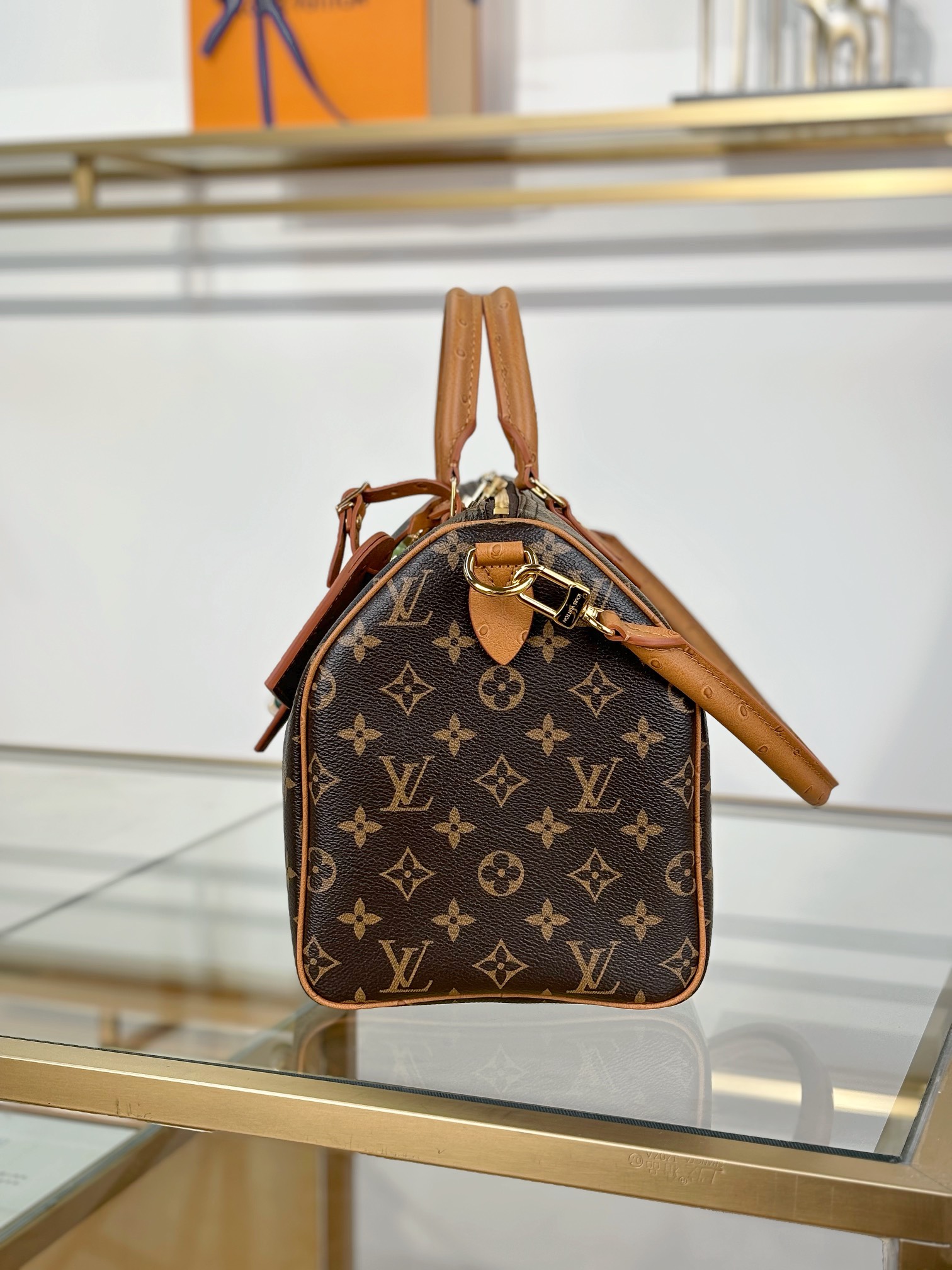 Louis Vuitton SPEEDY SOFT 30 BOHO Bag N87212