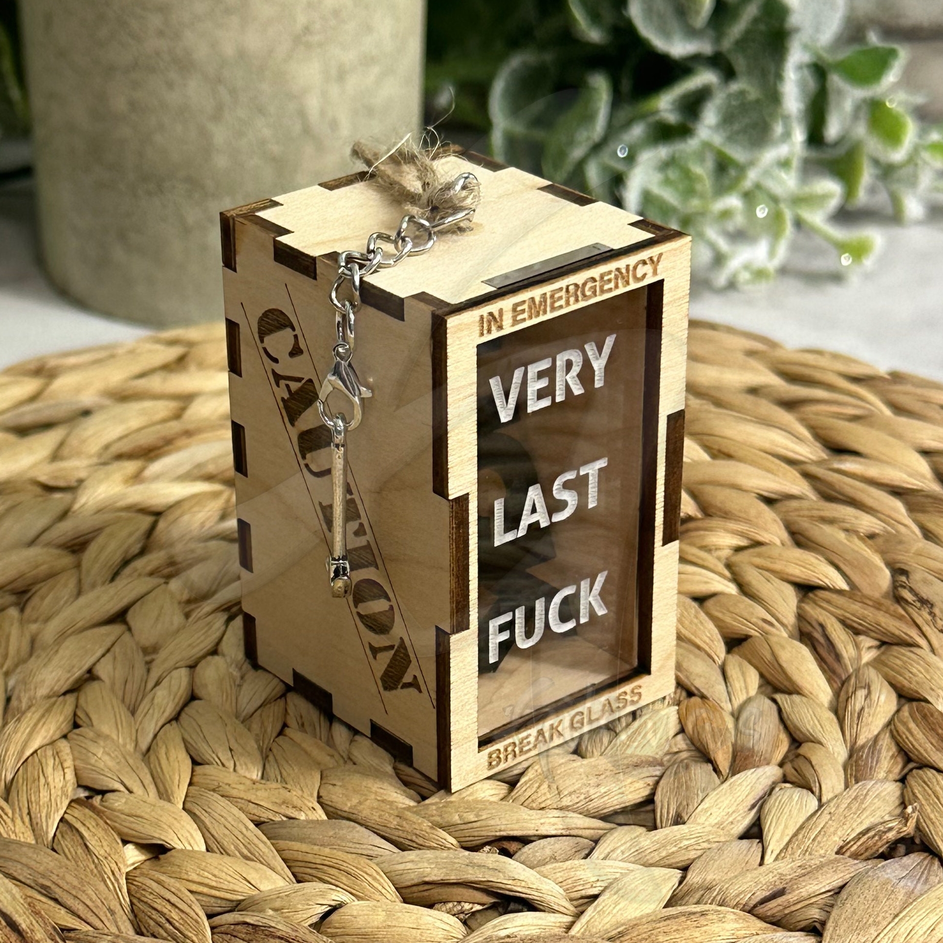 🔥ON SALE🔥Funny novelty Christmas Ornament Last Fuck to Give