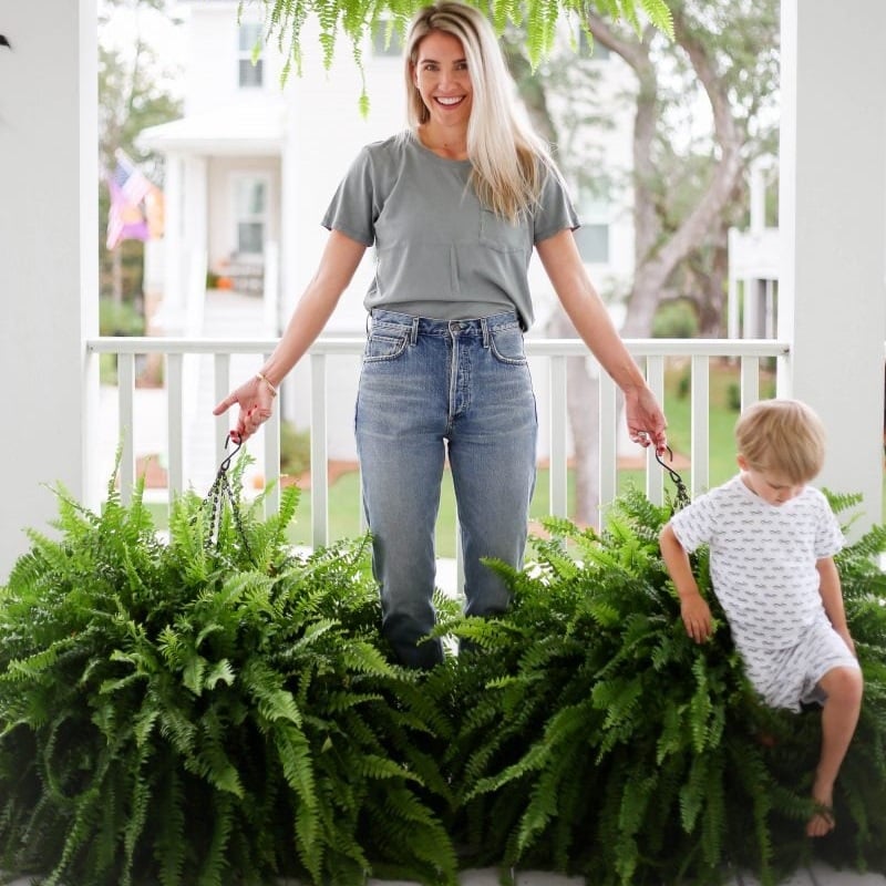 🔥 $9.98 On Sale Only Today 🌱 UV-Resistant Lifelike Artificial Boston Fern