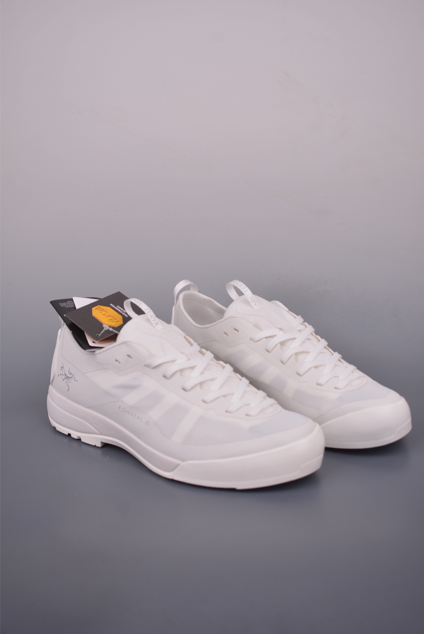 Arc'teryx AERIOS sneakers 