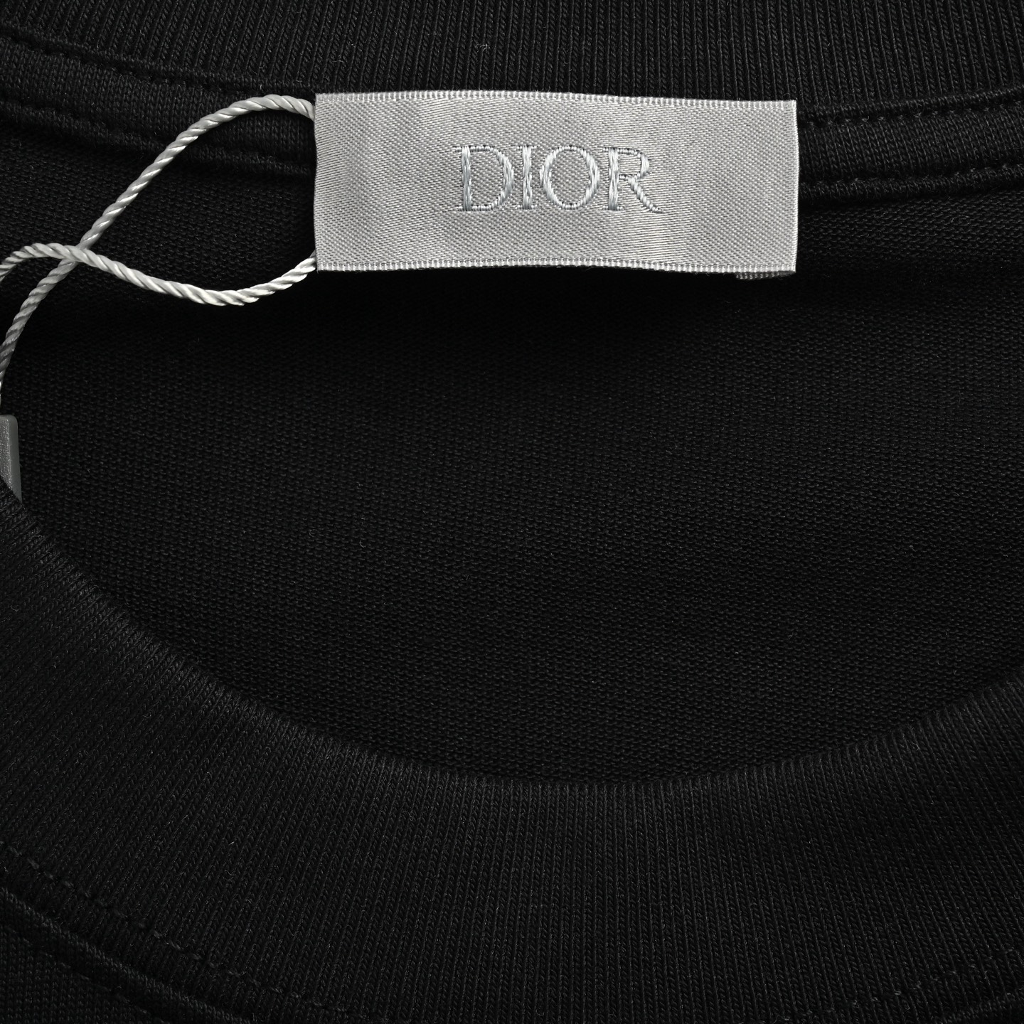 Dior 25ss blue flocked letter embroidered short sleeve