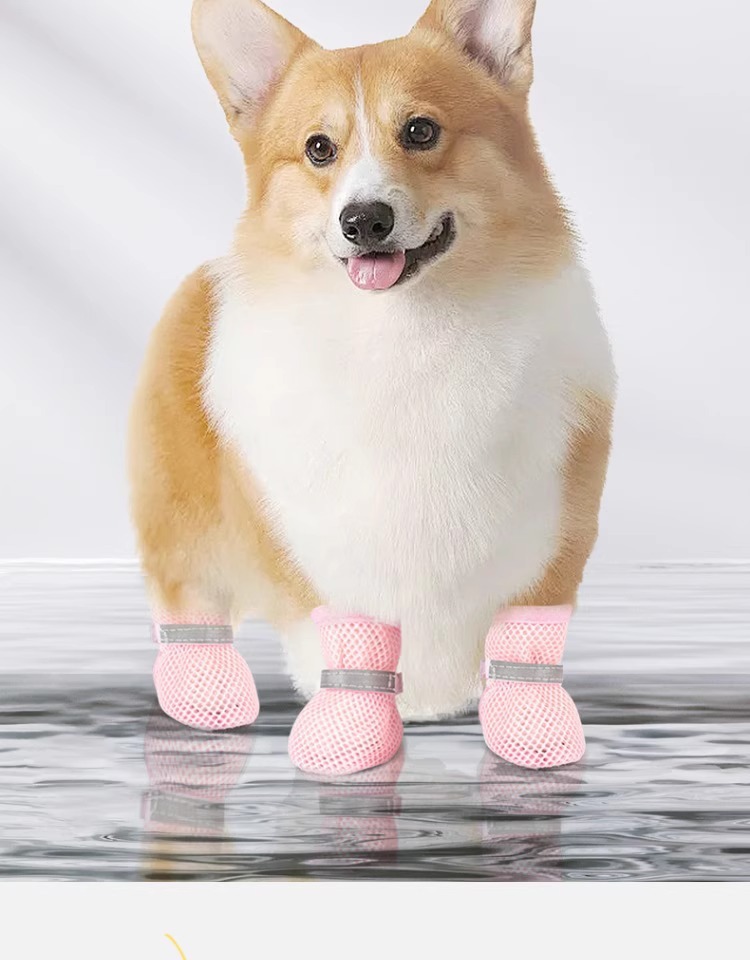 🔥 Breathable Mesh Dog Shoes