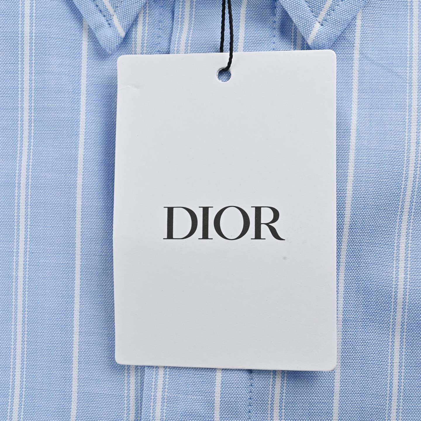 Dior 25ss blue cat embroidered striped shirt