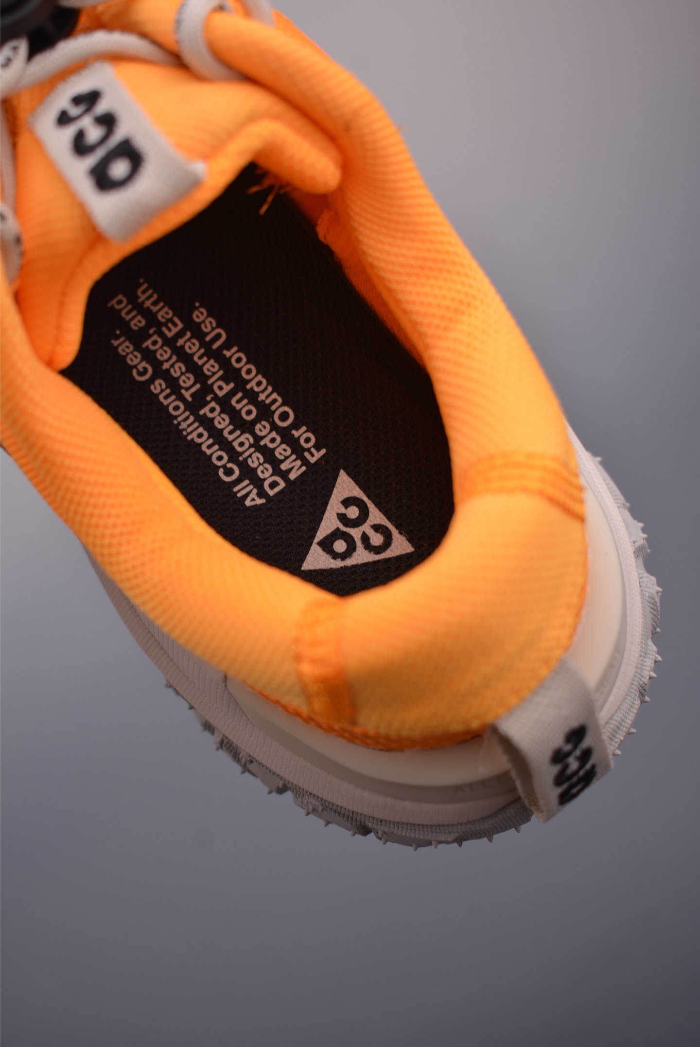 NikeACG MOUNTAIN FLY 2 LOW