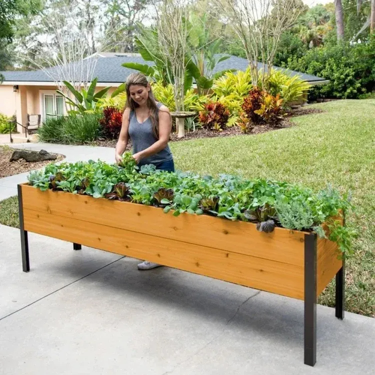 🌷2025B Clearance Sale 🔥8' X 2' x 4' Self-Watering Eco-Stained Elevated Planter Box+ Arch Trellis