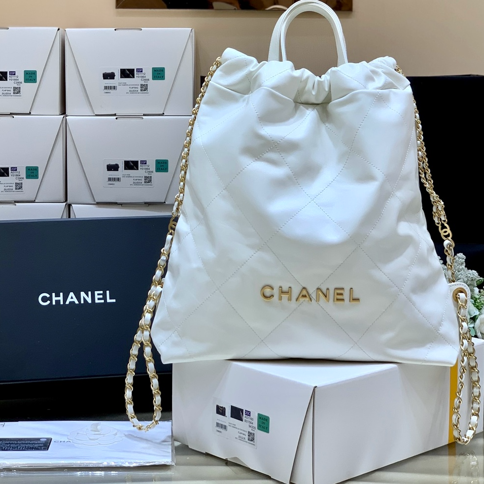 Chanel 2022cc Spring/Summer Collection Handbag AS3313
