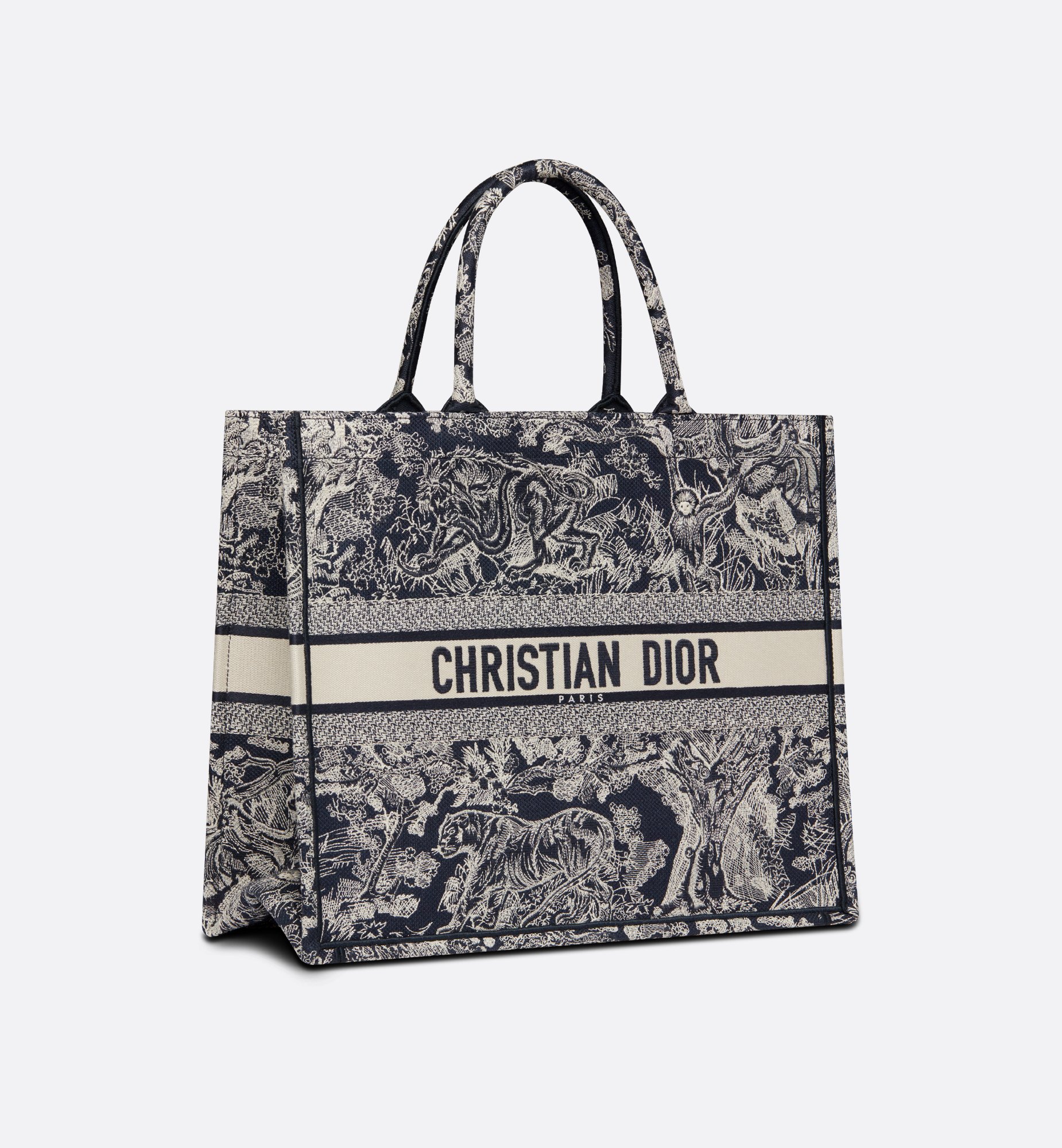 Dior Large Book Tote Bag M1286ZRGO_M35I