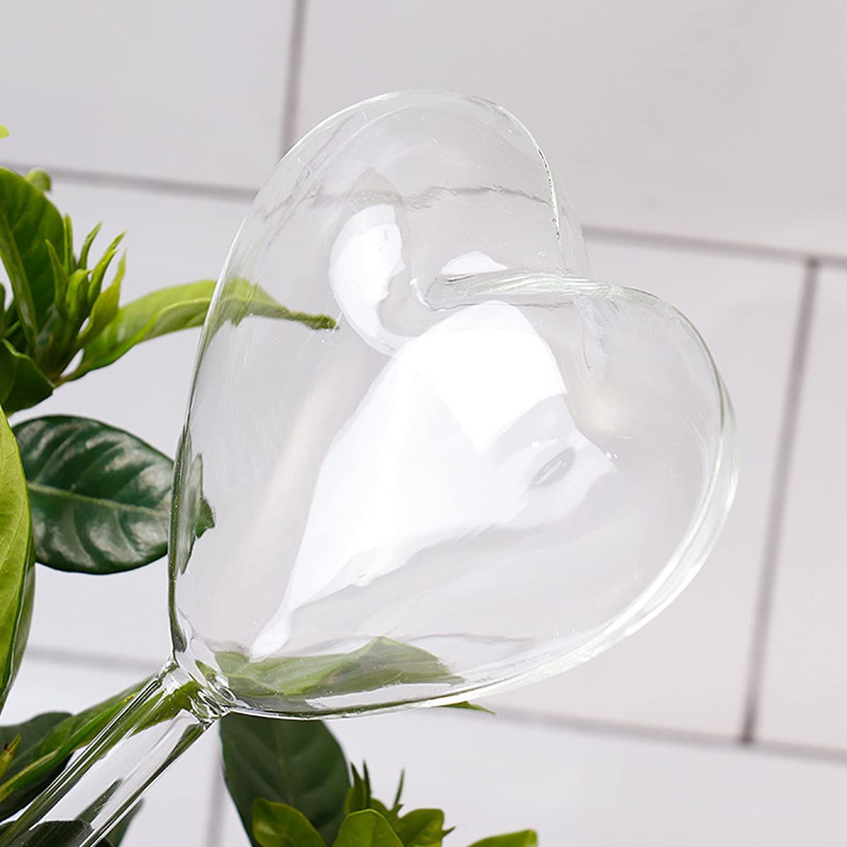 🔥Mother's Day Sale - 50% OFF🔥Plant Watering Globes Self Watering Planter Insert Spikes Drip Devices